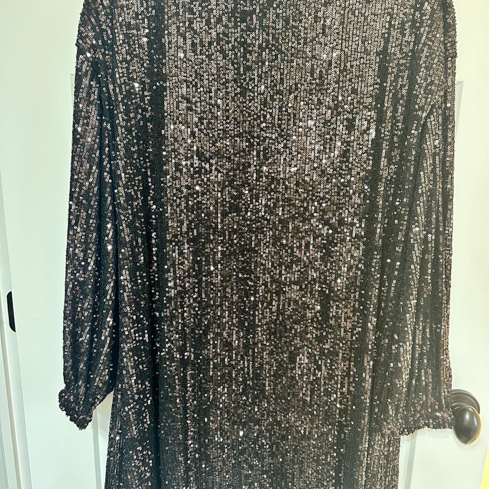 Sparkling Sequin Dress